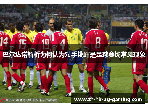 巴尔达诺解析为何认为对手挑衅是足球赛场常见现象