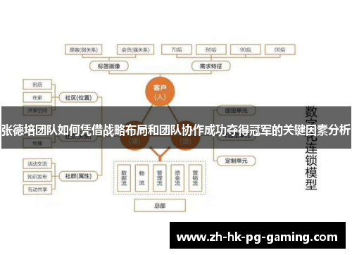 张德培团队如何凭借战略布局和团队协作成功夺得冠军的关键因素分析