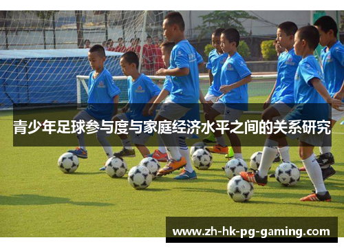 青少年足球参与度与家庭经济水平之间的关系研究